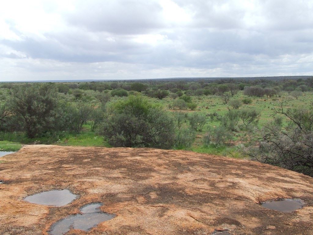 Mullewa WA 6630, Image 1