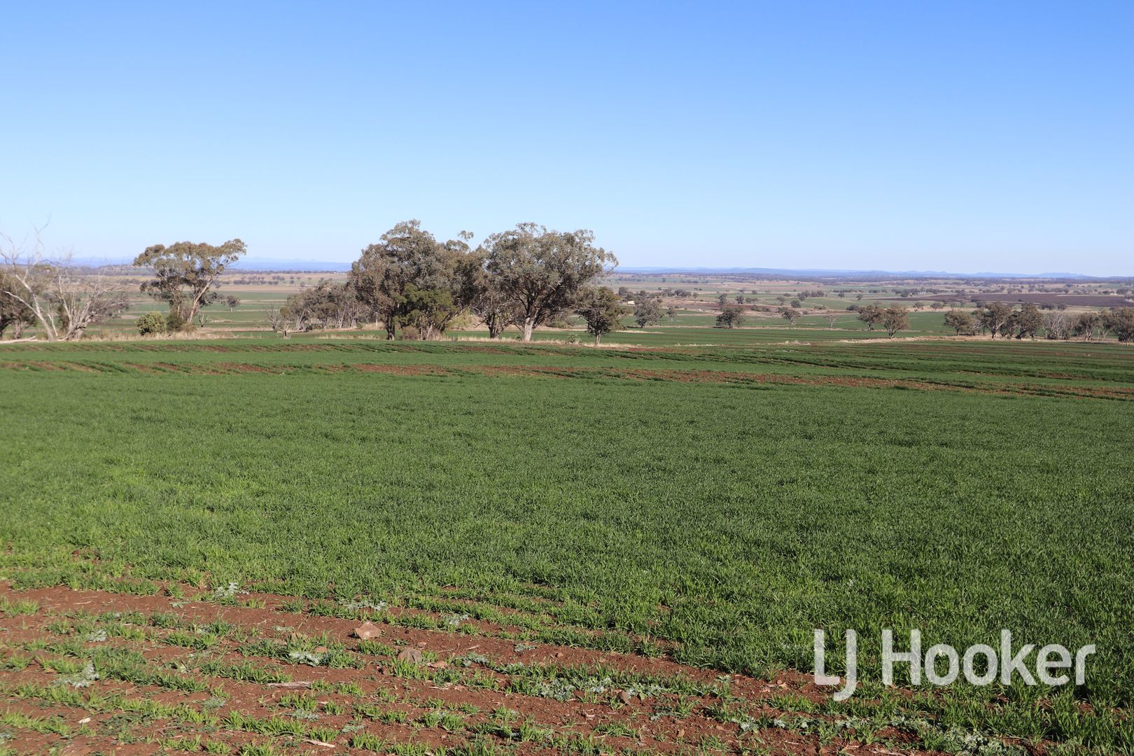 310 Burts Lane, Inverell NSW 2360, Image 2