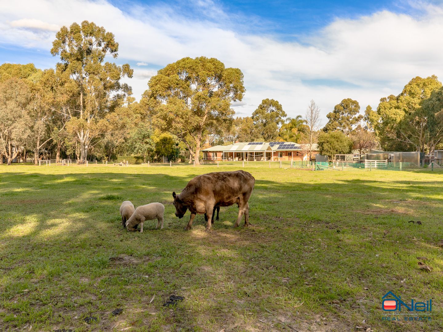 26 Stockmans Close, Oakford WA 6121, Image 2