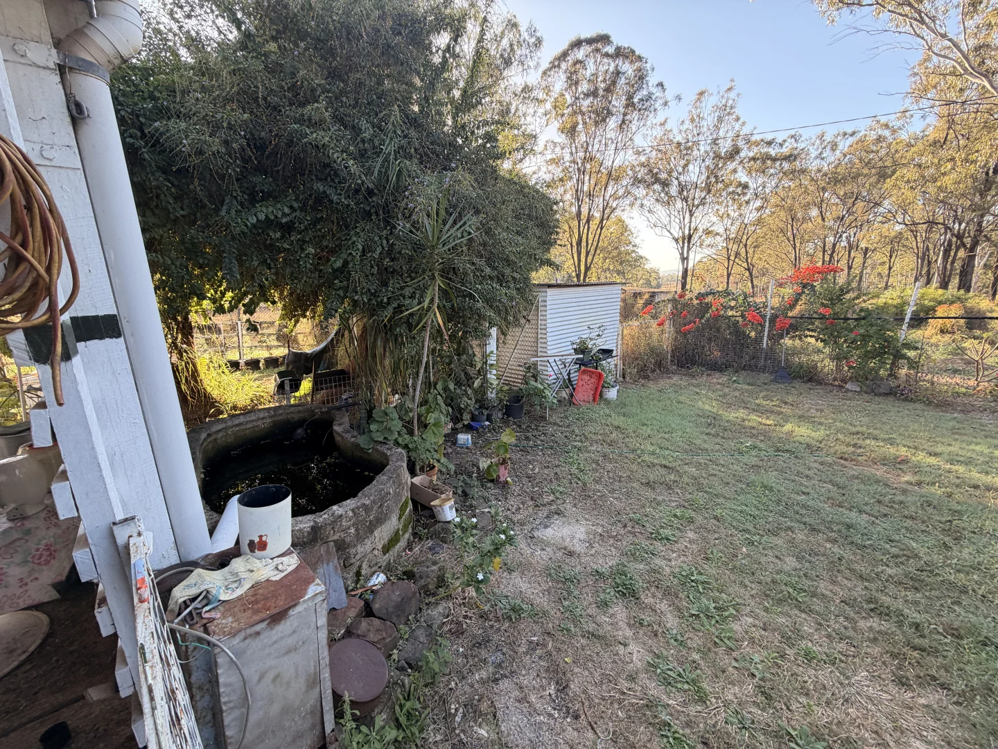 Image 15
