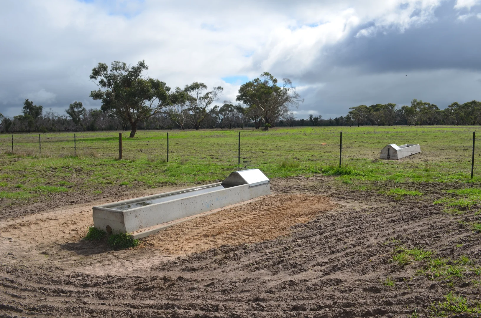 Image 11