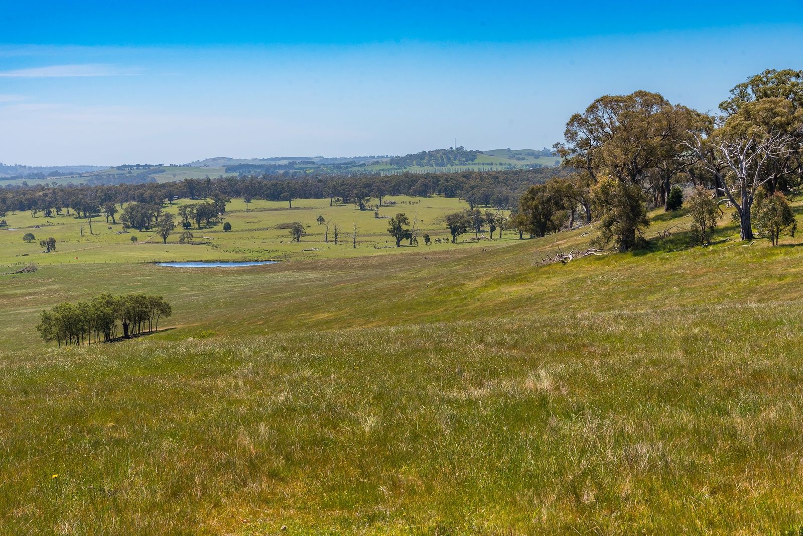 183 Balls Lane, Pipers Creek VIC 3444 Vacant Land for Sale Domain