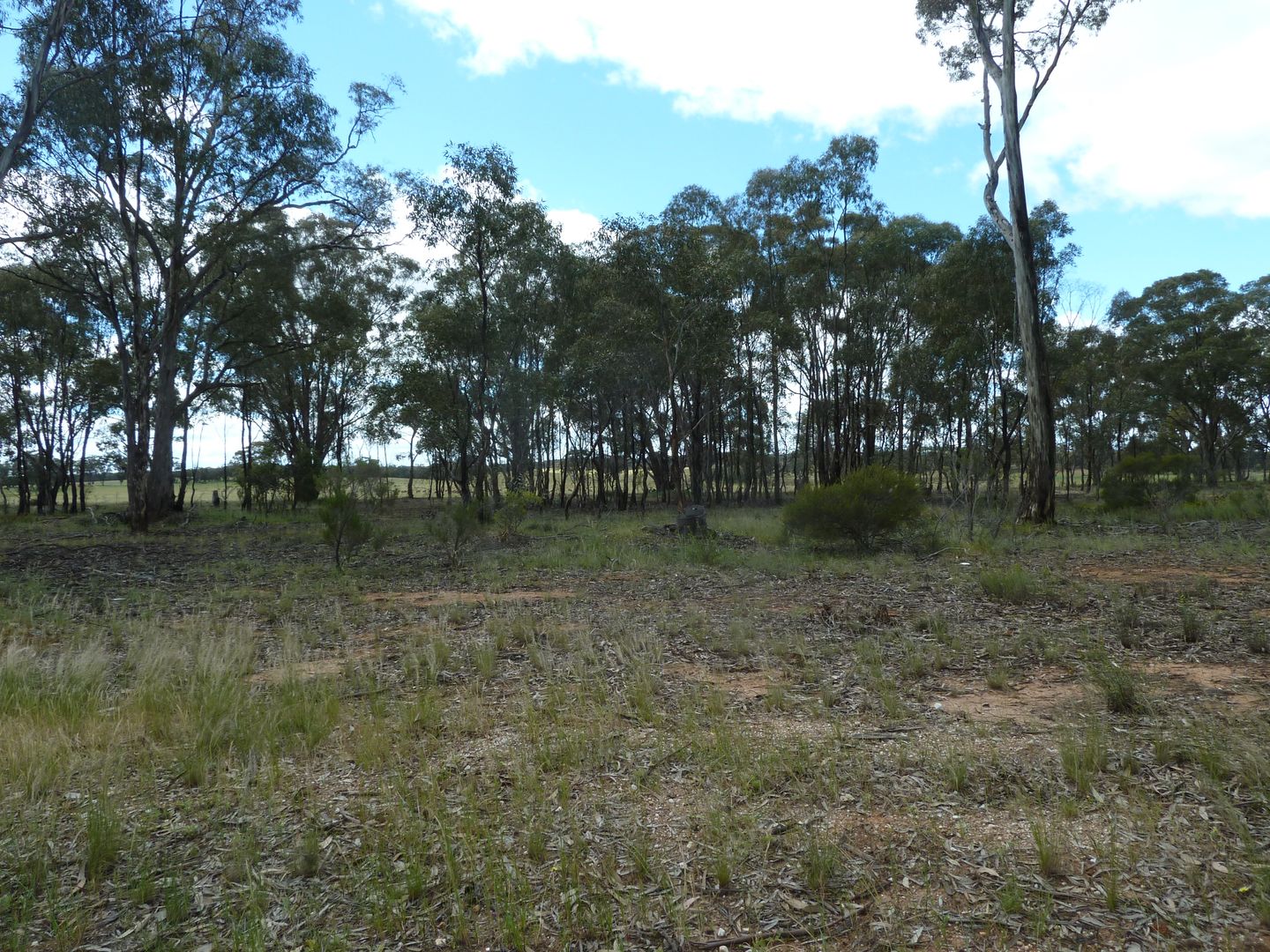 CA9D Woolshed Flat Road, Wedderburn VIC 3518, Image 1