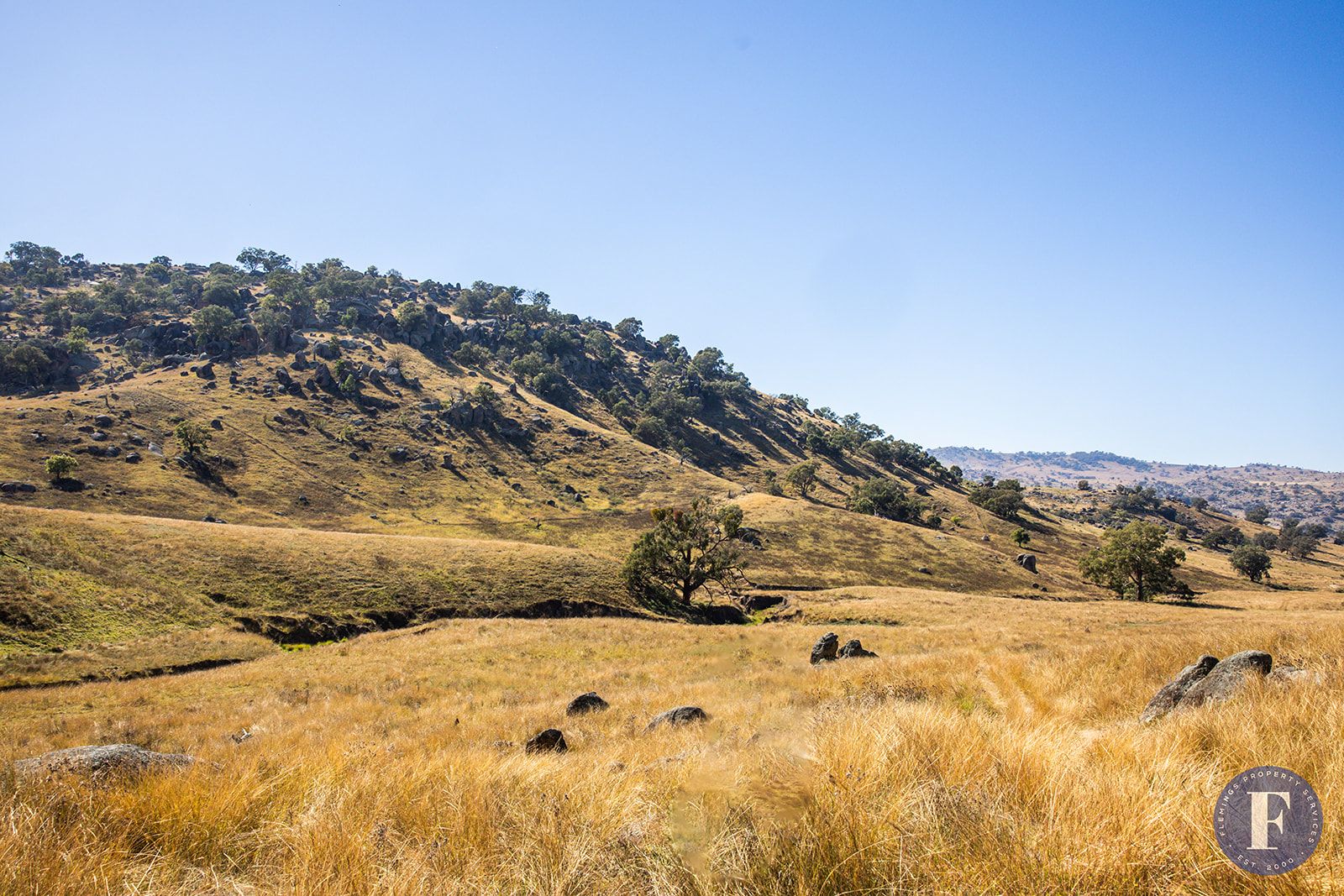 2943 Reids Flat Road, Cowra NSW 2794 House for Sale Domain