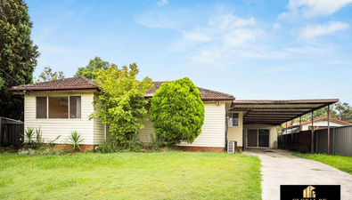 Picture of 17 Fernlea Place, CANLEY HEIGHTS NSW 2166