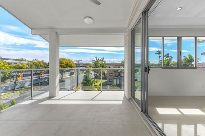 182 Apartments For Rent In Ascot Qld 4007 Domain