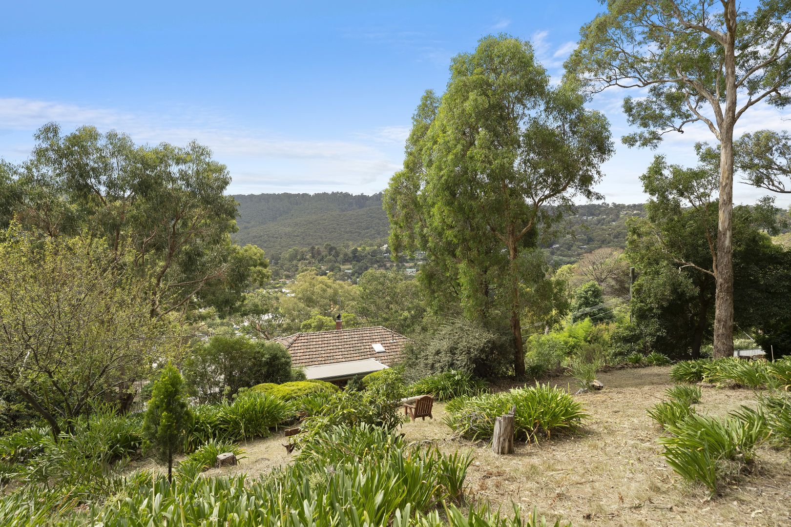 35-37 Talaskia Road, Upper Ferntree Gully VIC 3156, Image 2