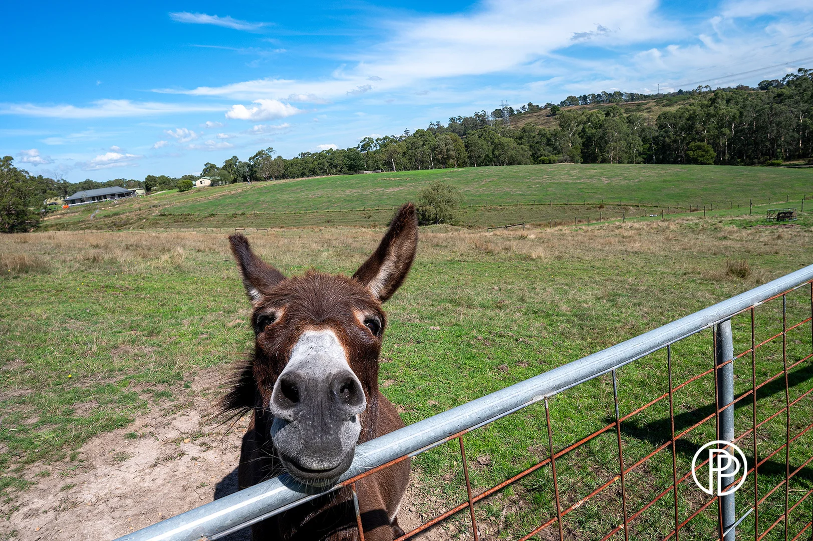 Additional image 19 of 50 Longs Road, Yellingbo VIC 3139