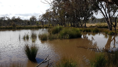 Picture of Lot 28 Mosquito Creek Road, MOSQUITO CREEK QLD 4387