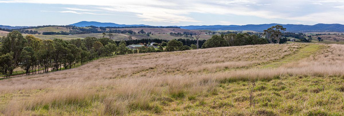 Lot 402 South Wolumla Road, Candelo NSW 2550, Image 2