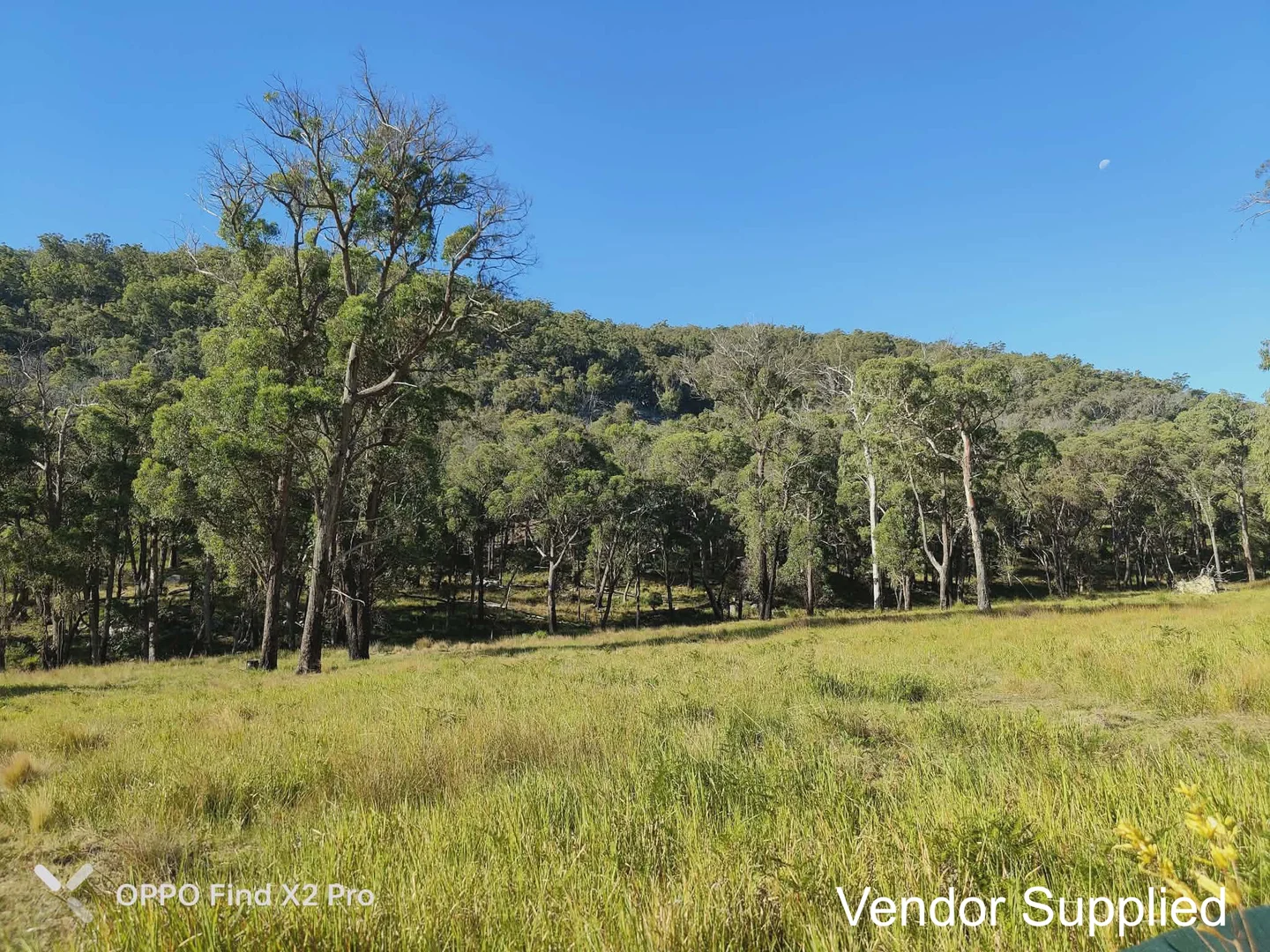 Additional image 14 of 1224 Mount Mckenzie Road, Tenterfield NSW 2372