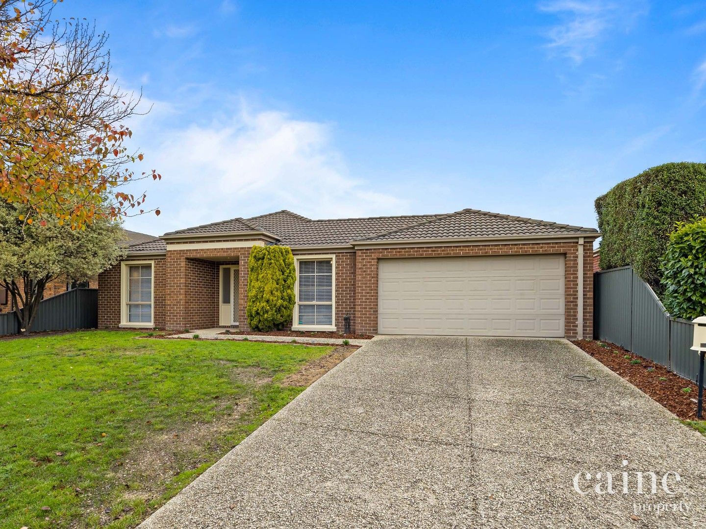 13 Bogong Avenue, Invermay Park VIC 3350 Domain