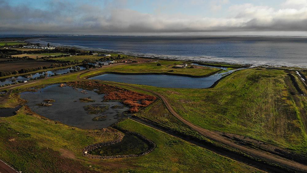 50/711 Portarlington Rd, Leopold VIC 3224 Domain