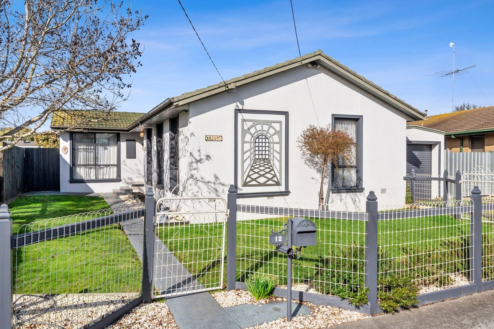 12 Ranger Court, Whittington VIC 3219, Image 0