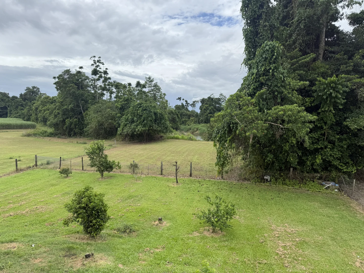 Image 20