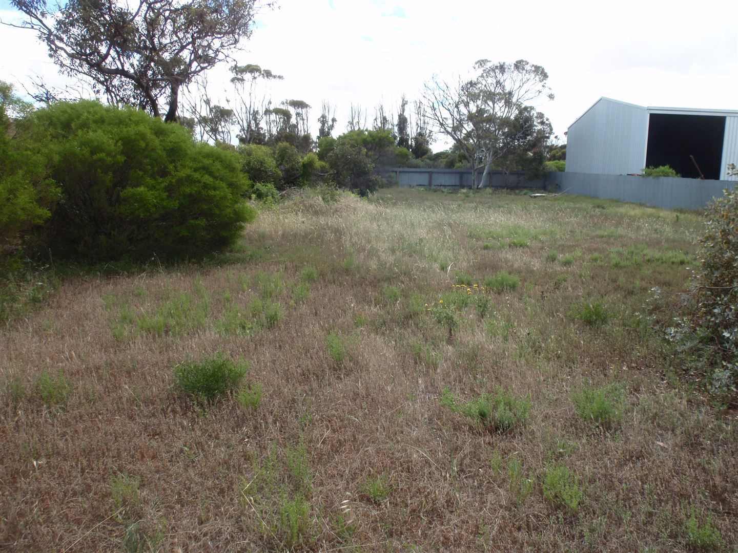 Lot 125 James St, Minnipa SA 5654, Image 2