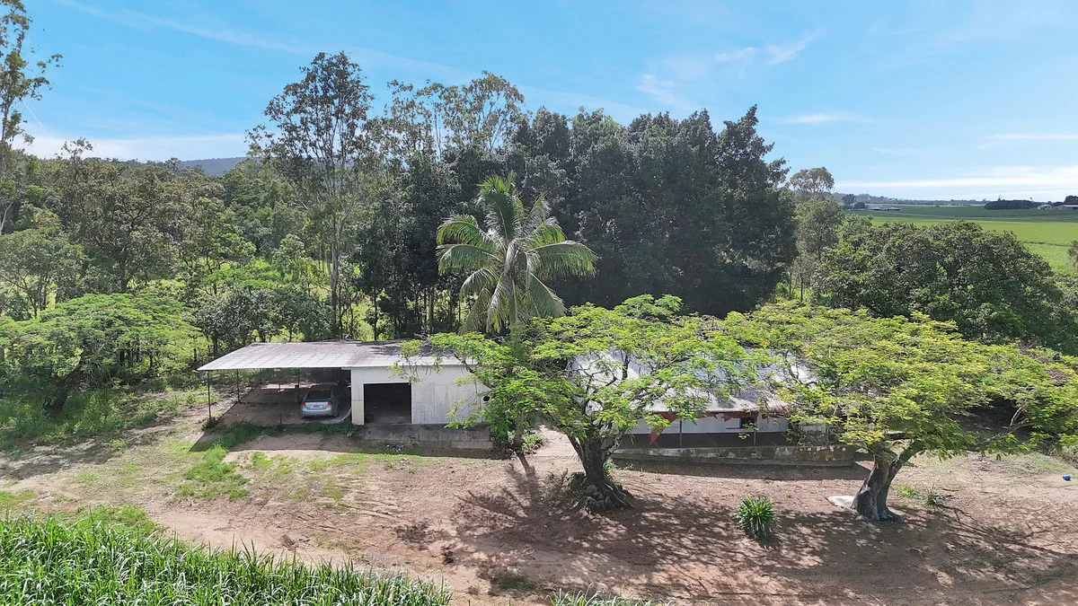 Additional image 29 of 988 Mount Martin Loop Road, Mount Martin QLD 4754