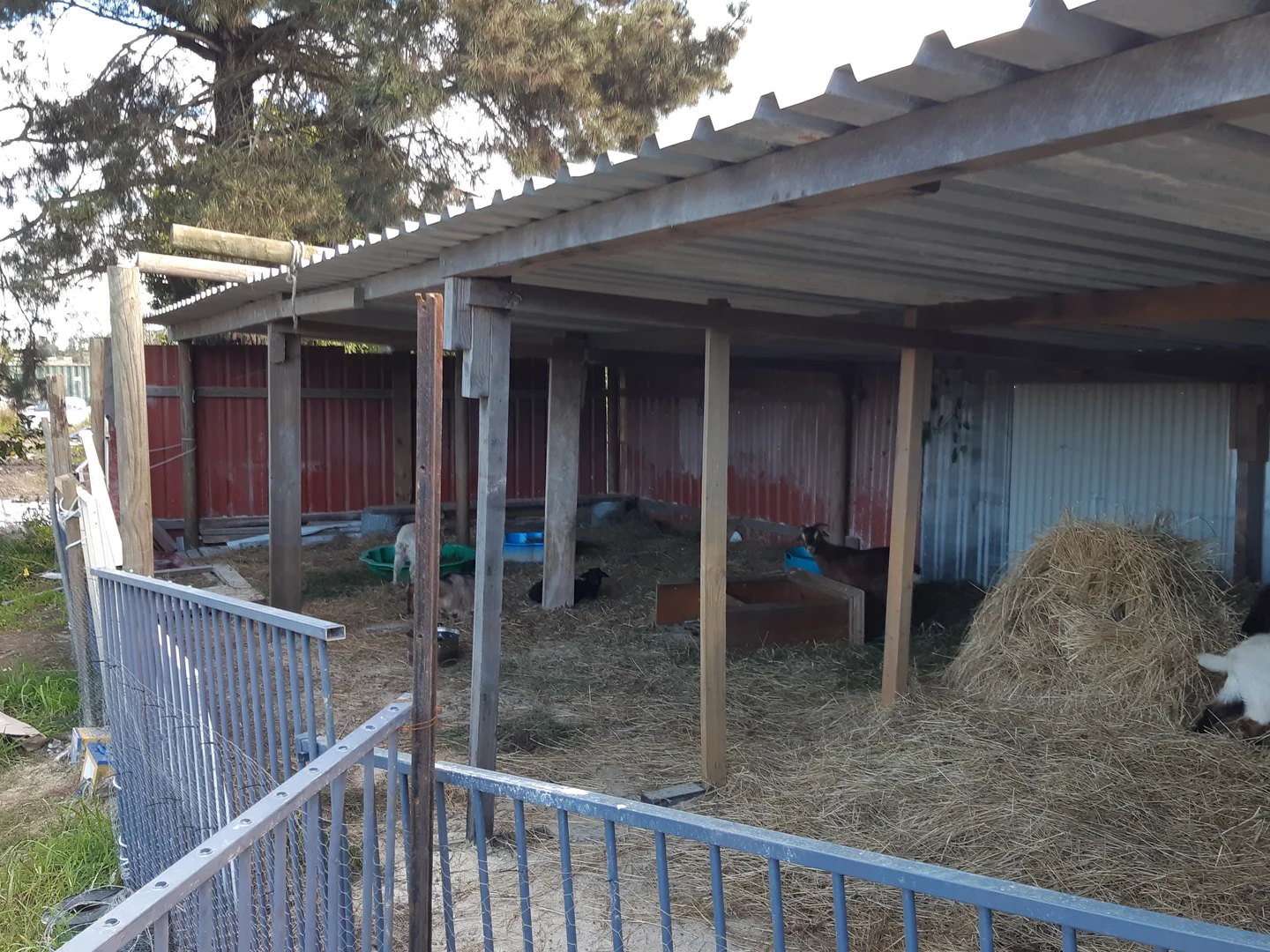 Additional image 5 of Gilead NSW 2560