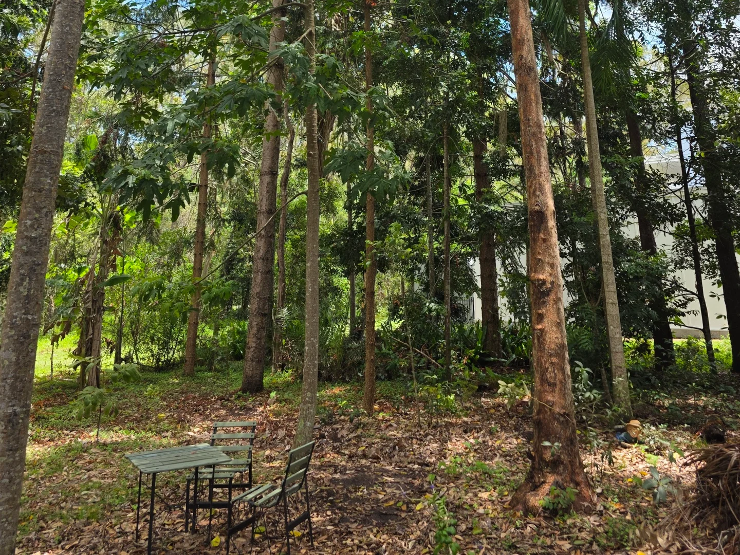 Additional image 24 of 12 Parraweena Court, Point Vernon QLD 4655