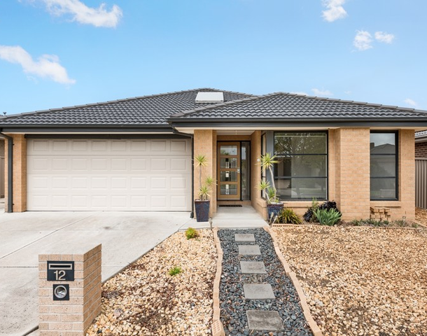 12 Carbine Drive, Alfredton VIC 3350