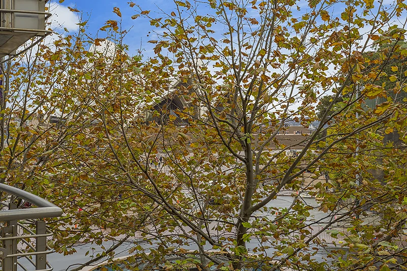 Additional image 9 of 1 Macquarie Street, Sydney NSW 2000