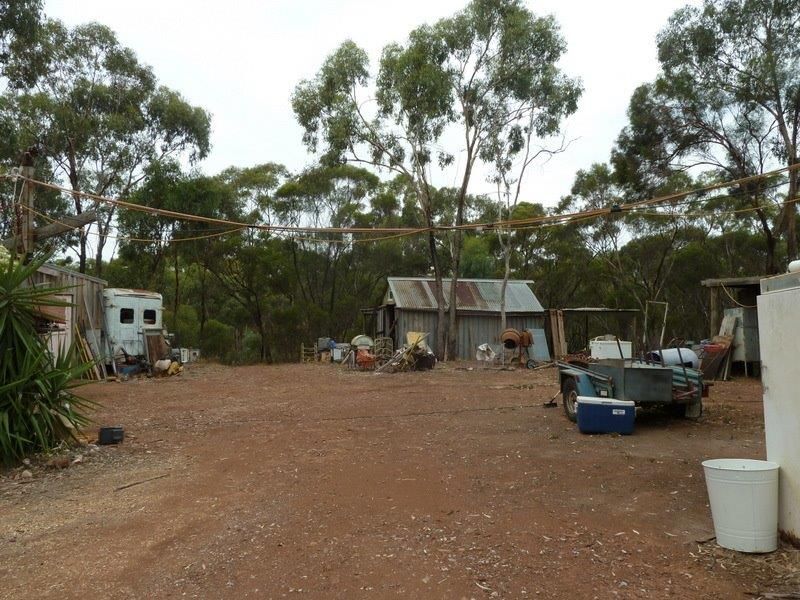 80 Titwobble Lane, Wedderburn VIC 3518 Vacant Land for Sale 299,000