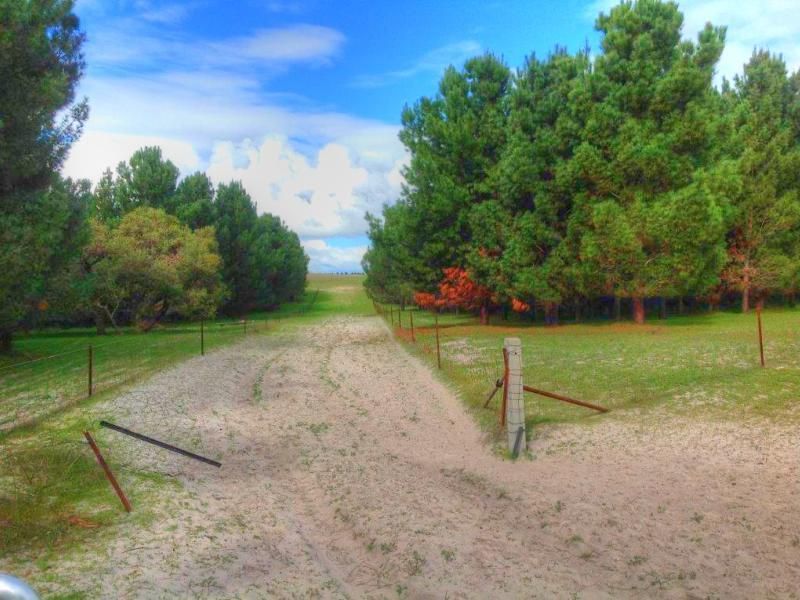 LOT 50/311 KOODJEE ROAD, Dandaragan WA 6507, Image 2