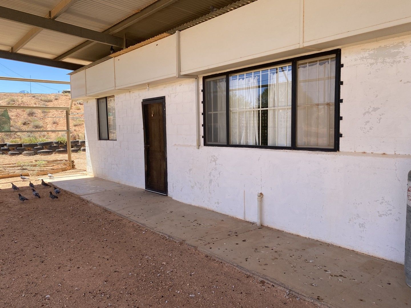 1/50 Paxton Street, Coober Pedy SA 5723 House For Rent Domain