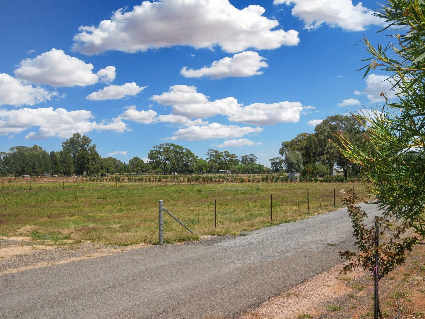 118 Lillypilly Rd, Leeton NSW 2705, Image 0