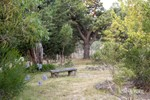 Image 23