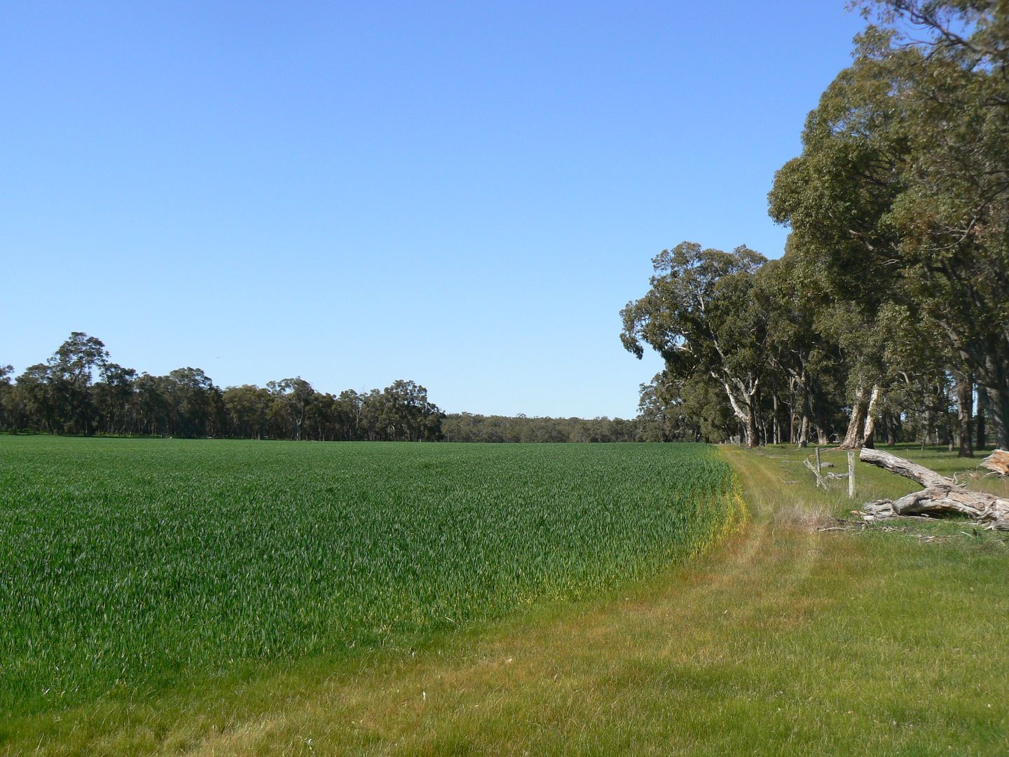 Lot/6 Six Mile Road, Mayanup WA 6244, Image 2