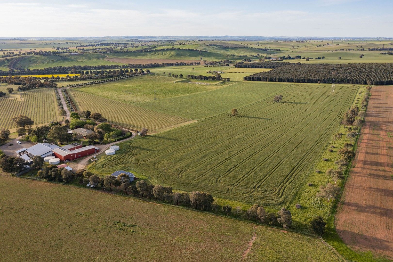 562 Pattersons Road, Wagga Wagga NSW 2650 House for Sale Domain