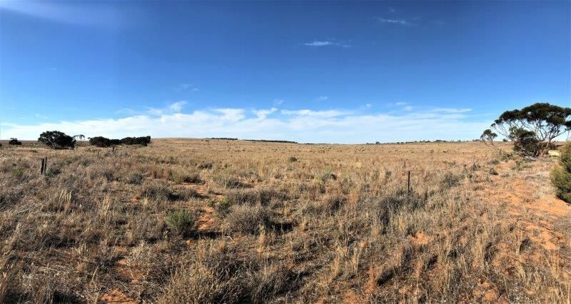 Lot 4 Hundred Line Road, Copeville SA 5308, Image 0