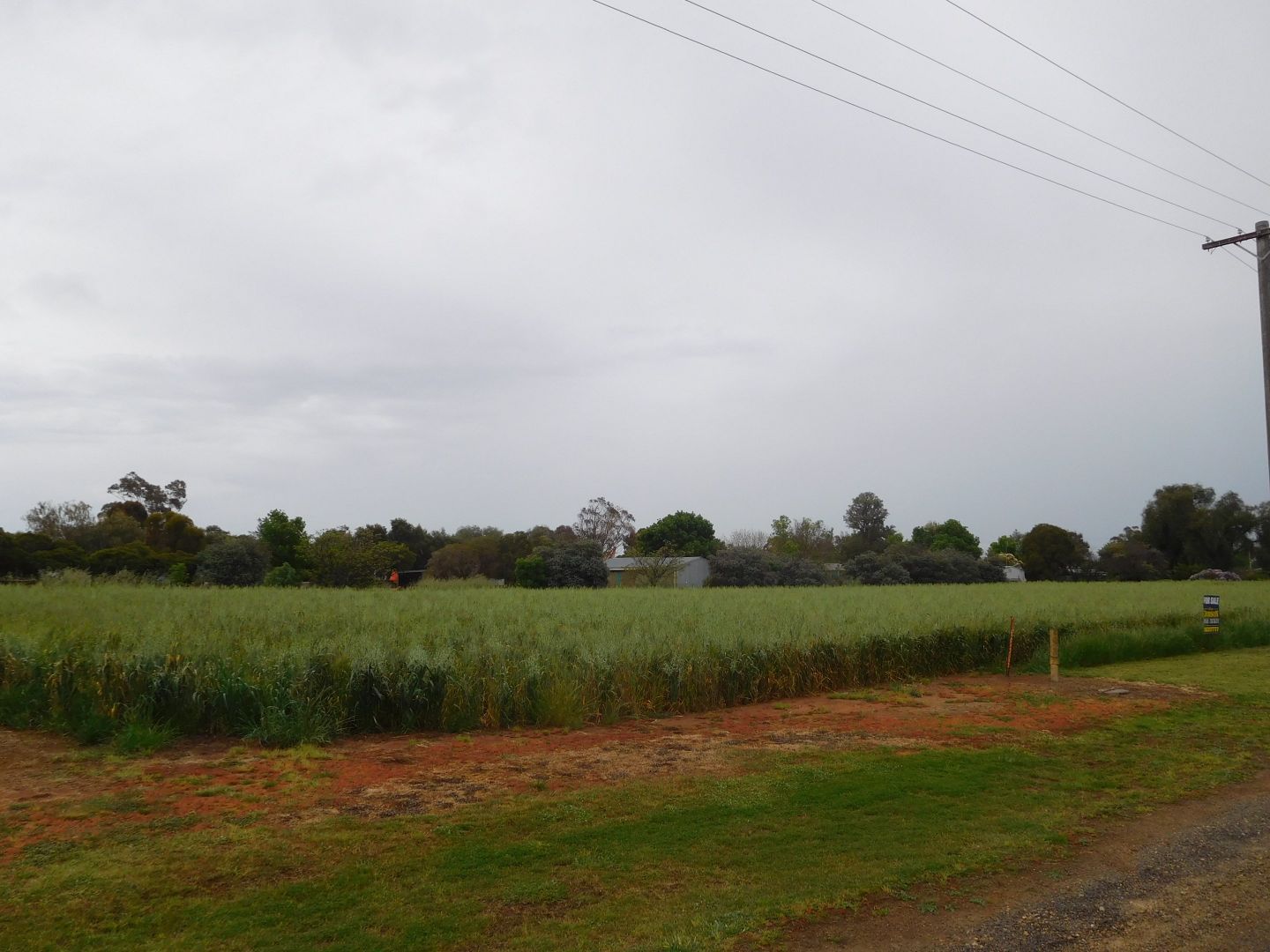 1-2 Foy Street, Katamatite VIC 3649, Image 2