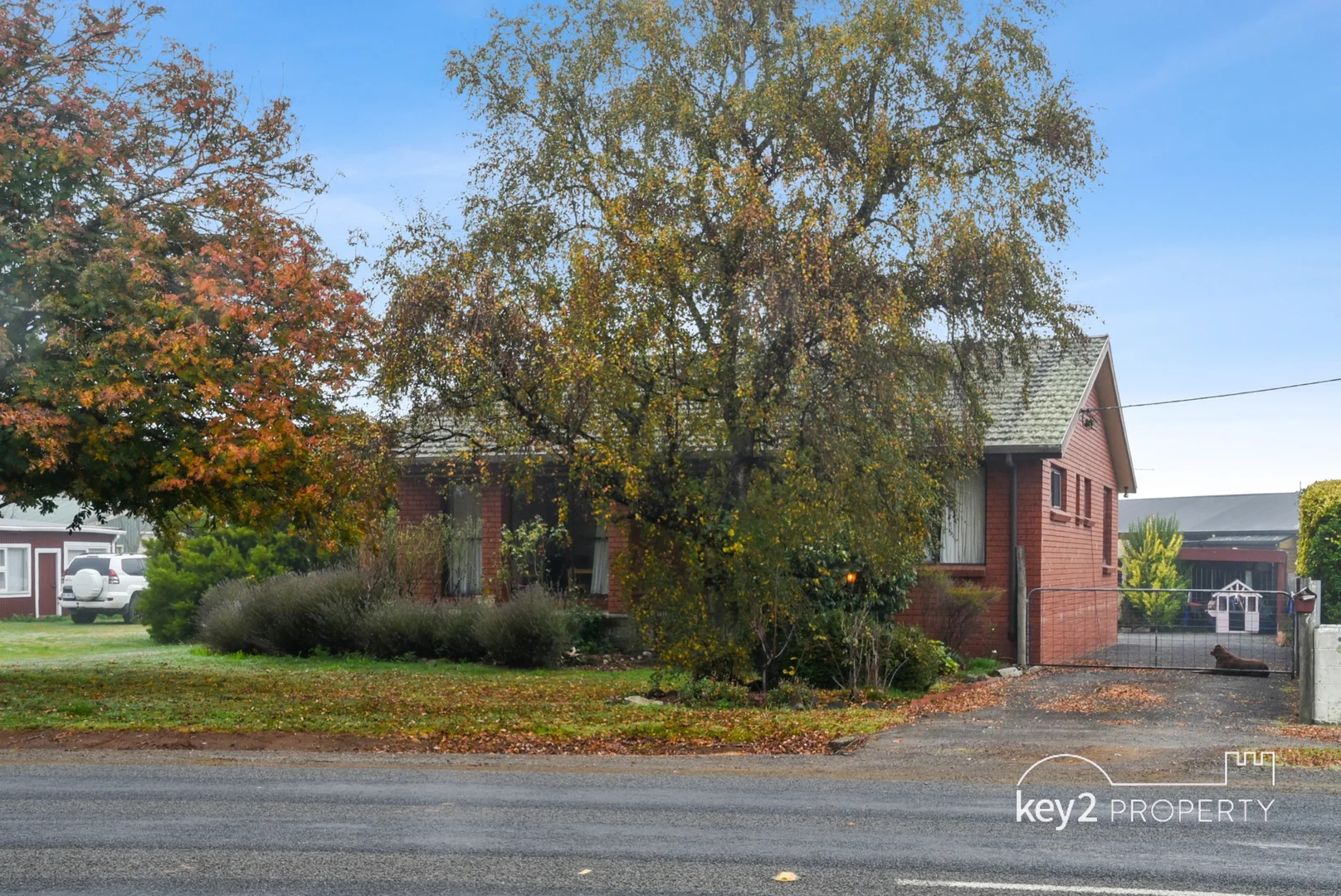 Image 12