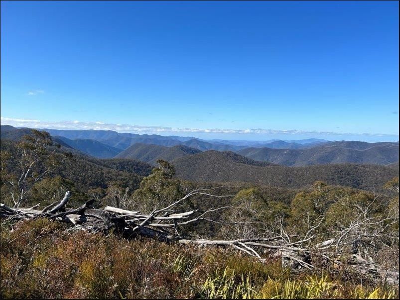 'Waterfall" Kydra Fire Trail, Kybeyan NSW 2631, Image 1