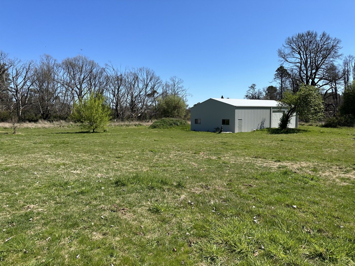 Acreage / Semi-Rural in 359 Batlow Road, TUMBARUMBA NSW, 2653