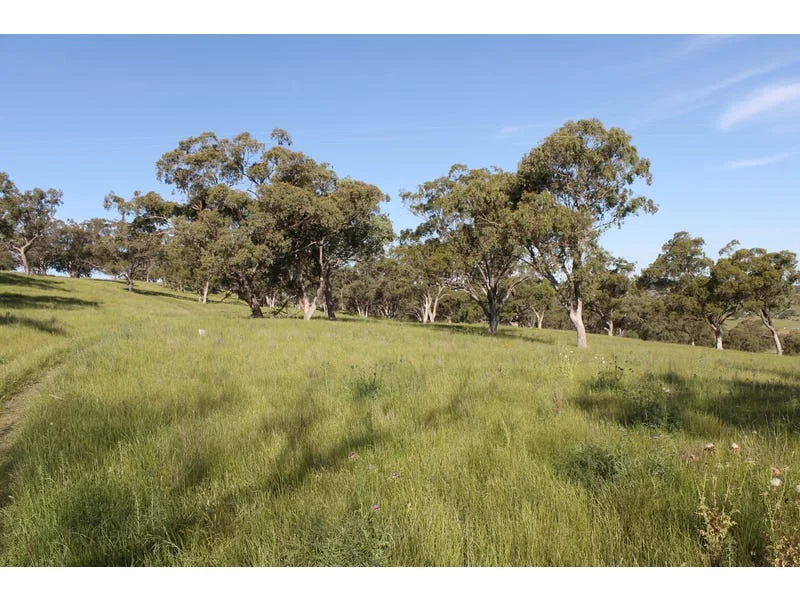 Image 10