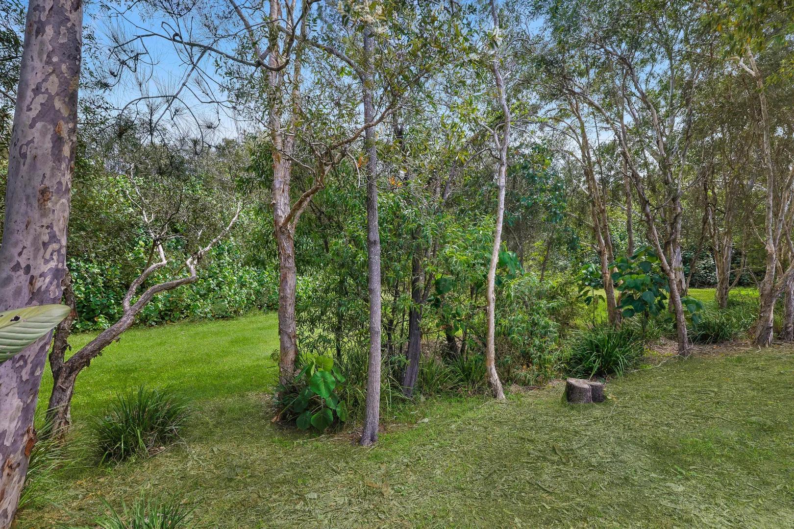 Additional image 9 of 7 Melastoma Way, Arundel QLD 4214