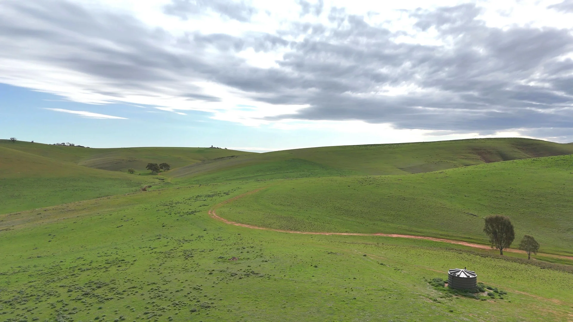 Image 15