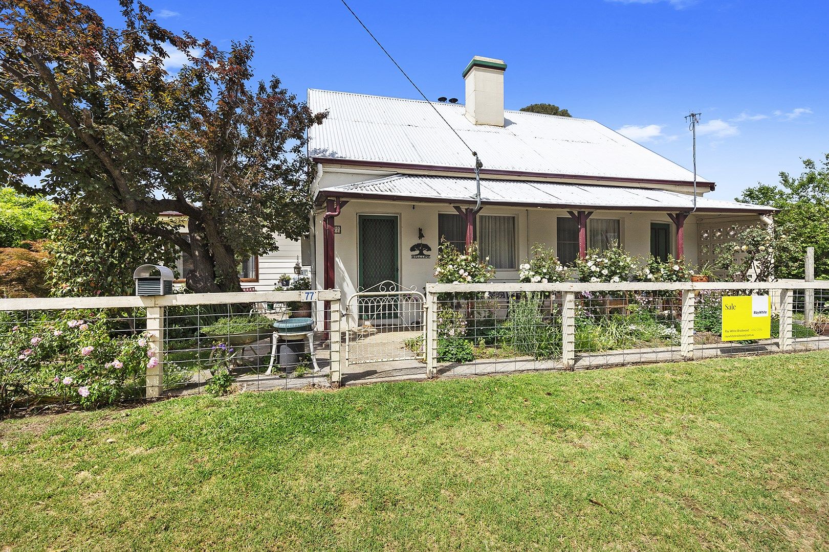 77 Lascelles Street, Braidwood NSW 2622, Image 0