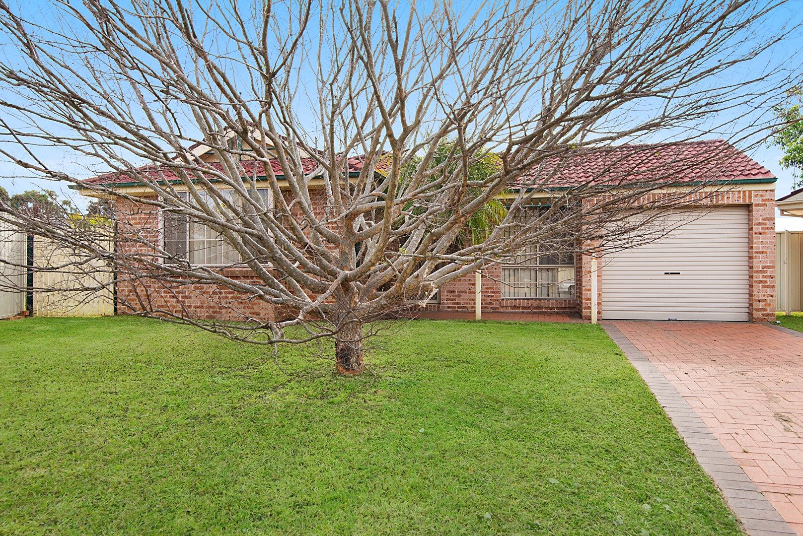 5 Clyde Cl, Bateau Bay NSW 2261, Image 0