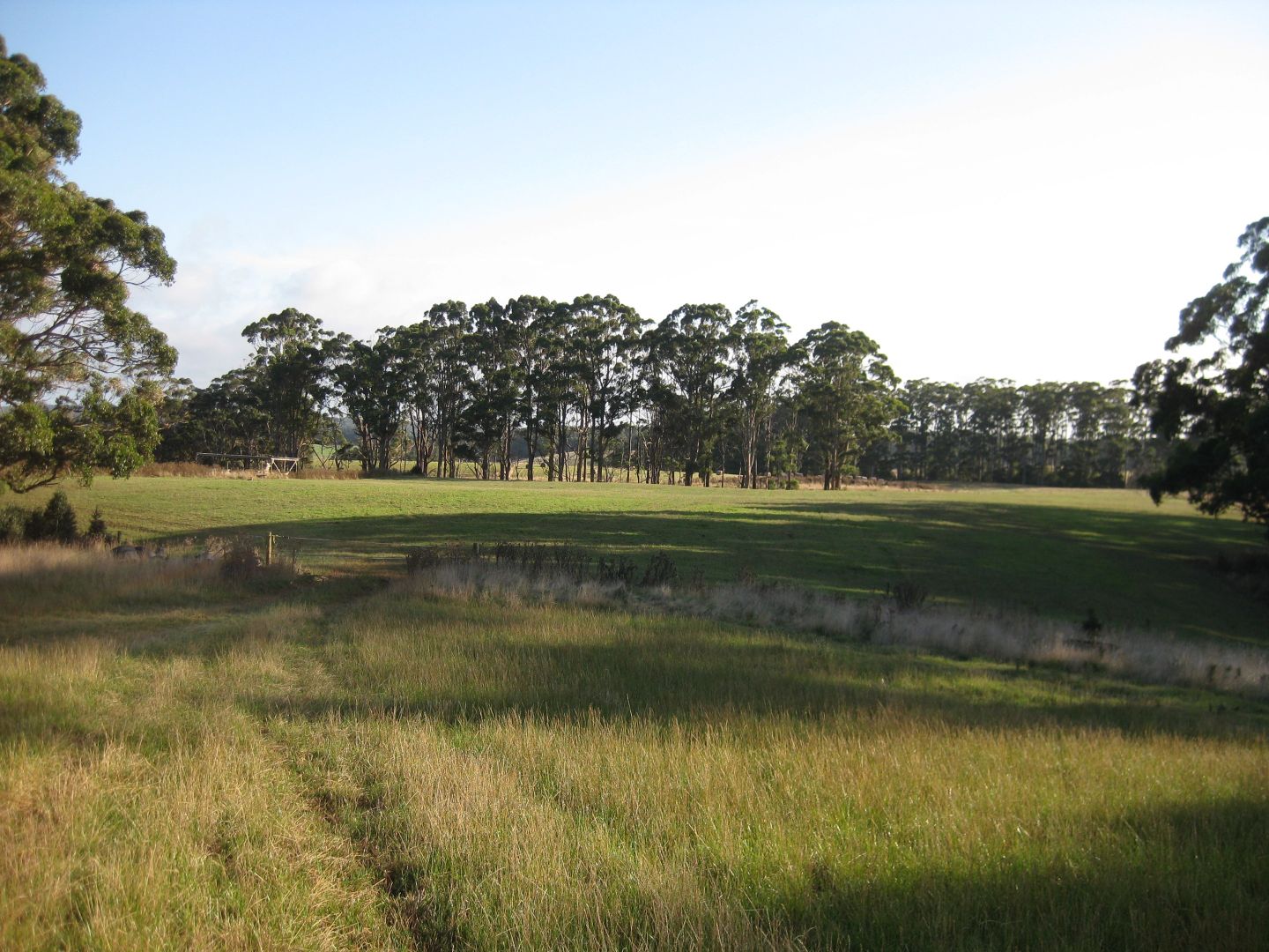 16 Amos Road, Irishtown Property History & Address Research Domain