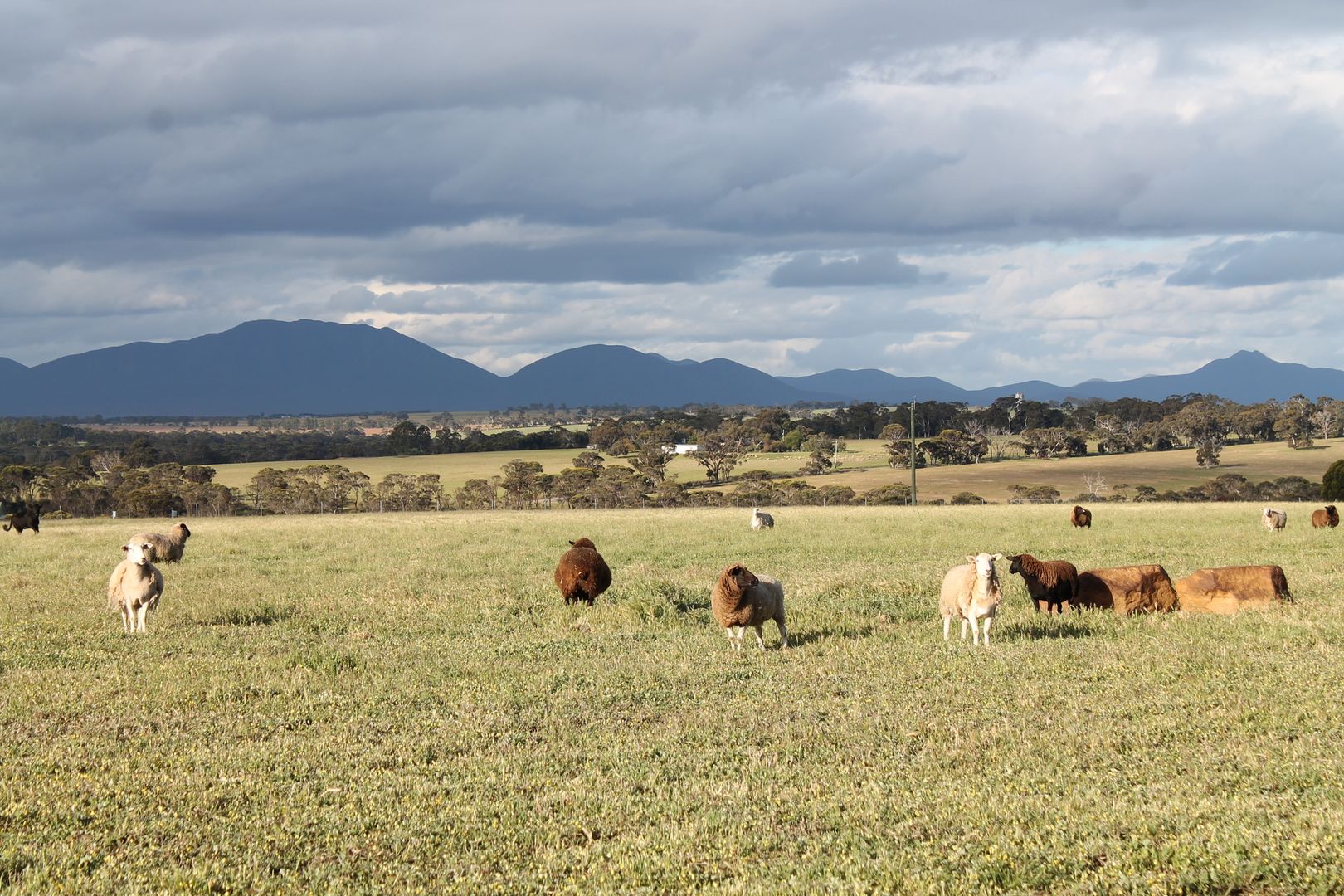 Cnr Fenton Heights & Williams Road, Kendenup WA 6323, Image 1