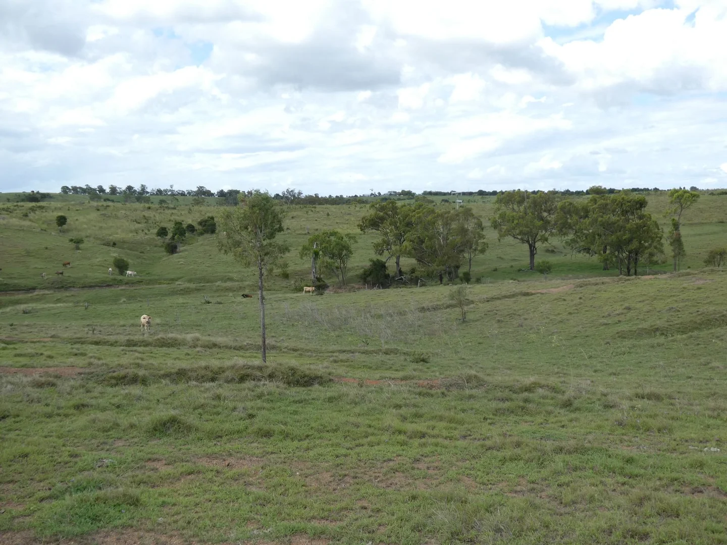 Image 15