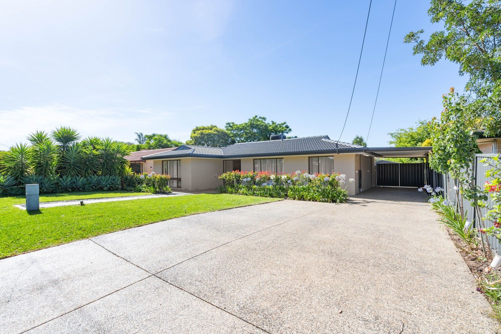 4 bedrooms House in 19 Pringle Avenue SURREY DOWNS SA, 5126