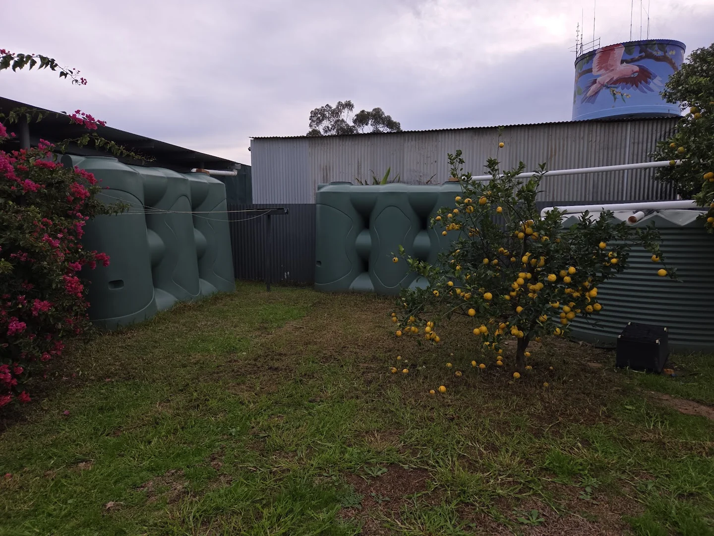 Image 21