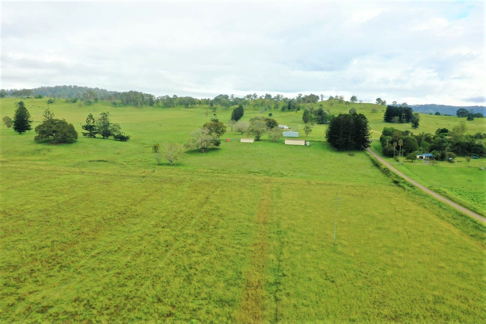 1304 Caniaba Road, Casino NSW 2470 House for Sale Domain