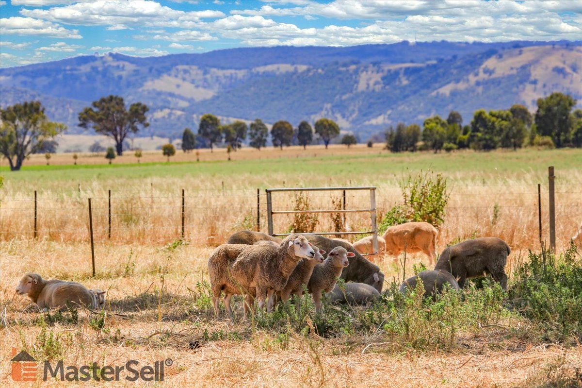 Rural Lifestyle in Lot 280/2204 Nangus Road, NANGUS NSW, 2722