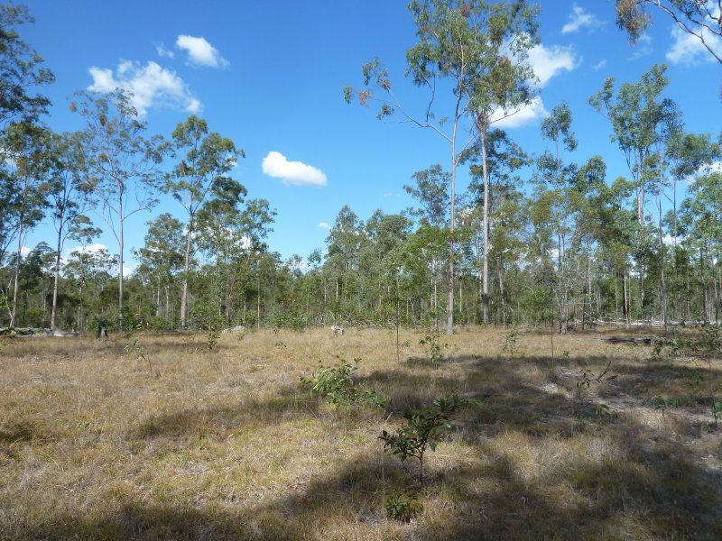 Lot 80 Glenbar Road, Glenbar QLD 4620, Image 0